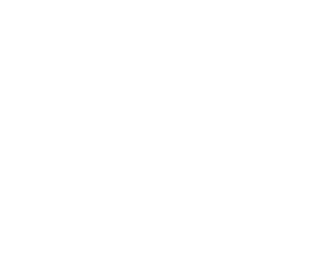 Logo de Renato Viani